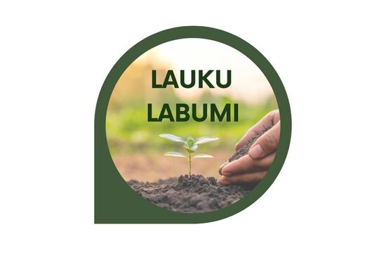 JAUNSKUNGU KERAMIKA